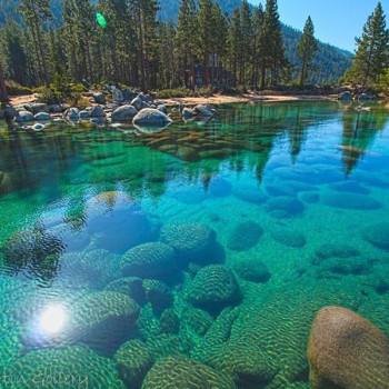 Environmental Friendly